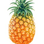 Ananas